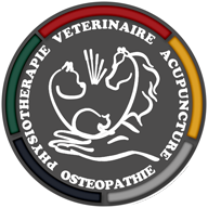 Dr TESSIER Logo